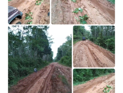 Miris Musim Hujan Tiba Jalan Penghubung Desa Cambai/Belatung OKI Rusak Parah.