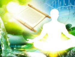 Kekuatan Penyembuhan Diri: Menguak Rahasia Kesehatan Abadi Bersama Ibnu Sina & Sains Modern