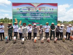 Pemkab OKI Dukung Polri Tanam Jagung Serentak Kuartal IV