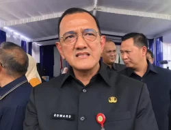 Nasib 6.000 Honorer Sumsel Masih Menggantung, Pemprov Tunggu Proses Administrasi dan Penerbitan NIP