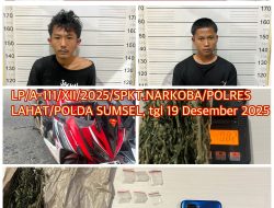 Dua Tersangka Pengedar Daun Ganja Berhasil diamankan Sat Reskrim Narkoba