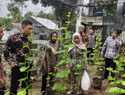 Karutan Baturaja Tinjau Langsung Budidaya Melon dan Anggur Serta Maggot BSF untuk Pakan Lele