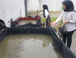 Peserta Magang Rutan Baturaja Aktif Monitoring Pertumbuhan Melon dan Anggur, Beri Pakan Lele, dan Pasang Atap Sarana Asimilasi Edukasi