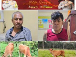 Dws Alias D bersama Ras Kini Terbaring Dijeruji besi Mapolres Lahat Akibat Ambil Sapi Orang
