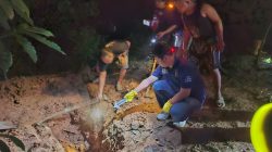 Polres Lahat tindak lanjuti penemuan mayat perempuan diduga korban mutilasi di Pulau Pinang