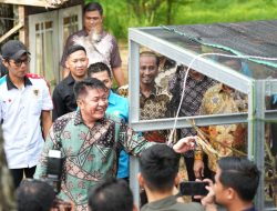 Hadiri Halal Bihalal IKA SKMA, Gubernur Herman Deru Soroti Keseimbangan Ekonomi dan Kelestarian Lingkungan