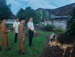 Rutan Kelas IIB Sekayu Terima Hewan Kurban Dari Program CSR