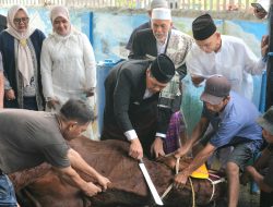 Kompak, Bupati-Wabup Muara Enim Salat Ied dan Tinjau Pemotongan Kurban di Masjid Agung