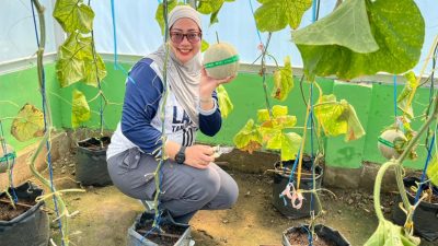 Panen Perdana Melon di Green House Lapas Tanjung Raja Dukung Program Ketahanan Pangan