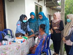 Dinkes Ogan Ilir Bersama TP PKK Perkuat Upaya Pencegahan Penyakit Tidak Menular Melalui Posyandu