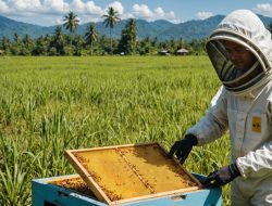 Cara Budidaya Lebah Madu untuk Pemula hingga Panen: Panduan Lengkap dan Praktis