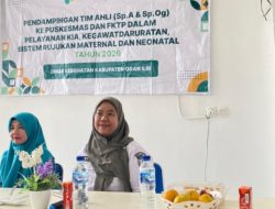 TP PKK Ogan Ilir Dukung Pendampingan Tim Ahli Dinkes untuk Optimalkan Pelayanan Maternal dan Neonatal