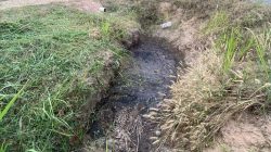 PT RMKO Bantah Sengaja Buang Limbah ke Kebun Warga