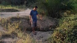 Limbah RMKO Diduga Cemari Kebun Warga, 35 Batang Sawit Mati