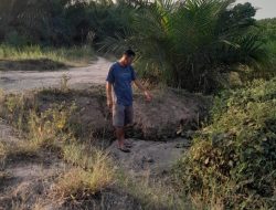 Limbah RMKO Diduga Cemari Kebun Warga, 35 Batang Sawit Mati